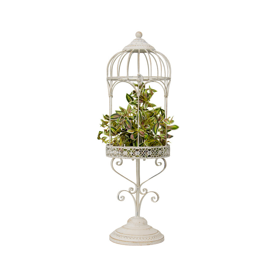 Martinique Arch Planter Cage on Base