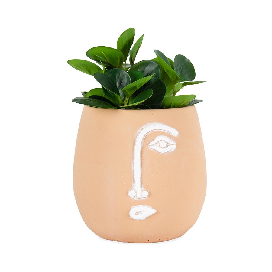 Pablo Coral Planter Pot With Hole Plug