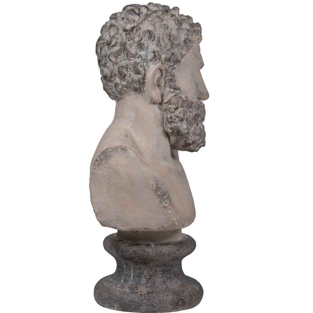 Neo Classical Male Bust